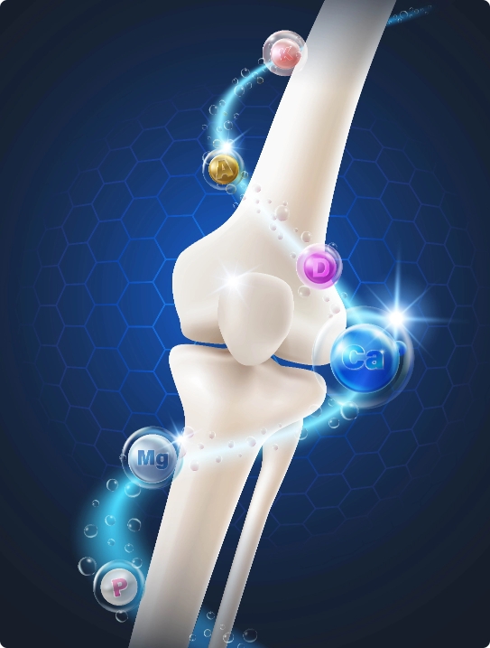 3D anatomical illustration of a human knee joint surrounded by glowing bubbles representing essential vitamins and minerals.
